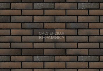 Кирпич с утолщенной стенкой BRAER MAX Limited, терра, 1 НФ 4