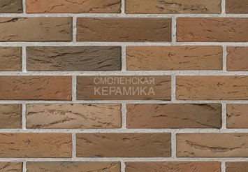 Кирпич с утолщенной стенкой BRAER MAX, кора дуба, 1 НФ 3