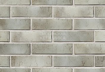 Кирпич с утолщенной стенкой BRAER MAX 72.03 1