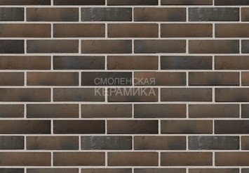 Кирпич с утолщенной стенкой BRAER MAX Limited, терра, 1 НФ 2