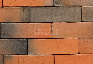 Тротуарный клинкер Пятый Элемент, Регенсбург, 250х80х52 мм 3