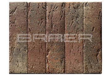 Кирпич с утолщенной стенкой BRAER MAX 55.08.1 5