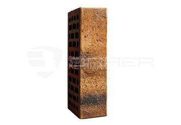 Кирпич керамический BRAER PRO 3.03 1 НФ 5