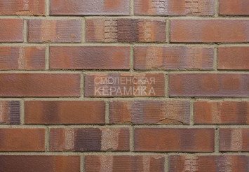 Плитка фасадная рядовая Westerwaelder URBAN WK84KS Rotbraun- bunt Kohle Spezial 1