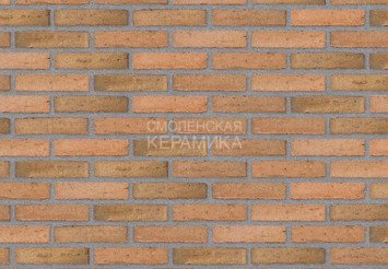 Клинкерный состаренный кирпич Randers Tegl Classica RT 433, ECO-DNF 228X50X54 мм 1