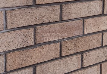 Кирпич клинкерный КЕРМА FABER JAR Нарвский, 0,5 НФ 2