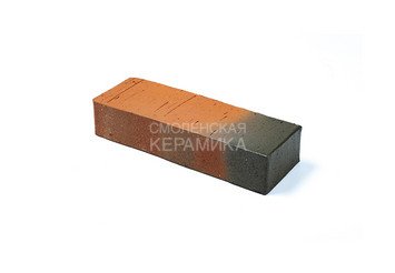 Тротуарный клинкер Пятый Элемент, Регенсбург, 250х80х52 мм 2