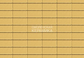Тротуарная плитка BRAER Прямоугольник Песочный, 40 мм 1