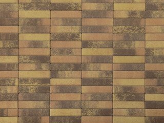 Тротуарная плитка Паркет BRAER, Color Mix"Прайд", 60 мм