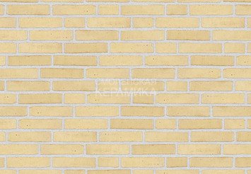 Клинкерный состаренный кирпич Randers Tegl Classica RT 207, ECO-DNF 228X50X54 мм 2