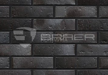Кирпич с утолщенной стенкой BRAER MAX 34.03M 1