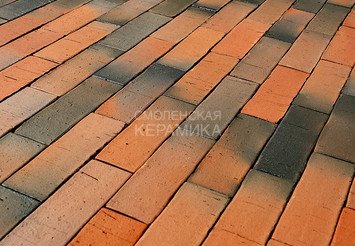 Тротуарный клинкер Пятый Элемент, Регенсбург, 250х80х52 мм 1