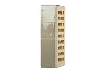 Кирпич керамический глазурованный RECKE GLANZ 1НФ арт. 1-88-02-0-00 8